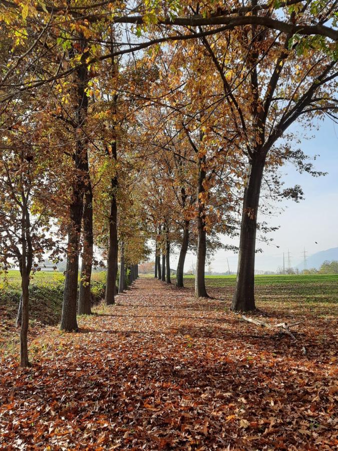 Cascina Cortese Druento Exterior photo